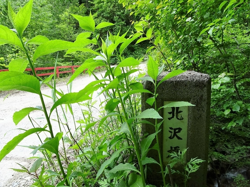 イメージ 18