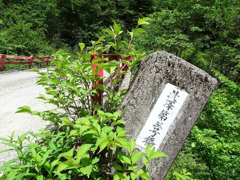 イメージ 20