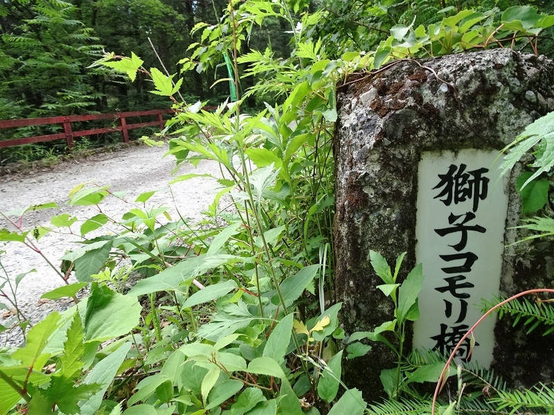 イメージ 8