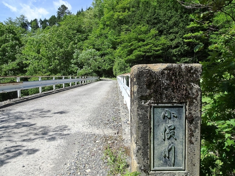 イメージ 17