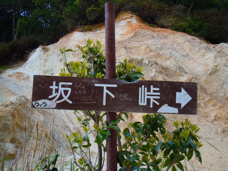 イメージ 19