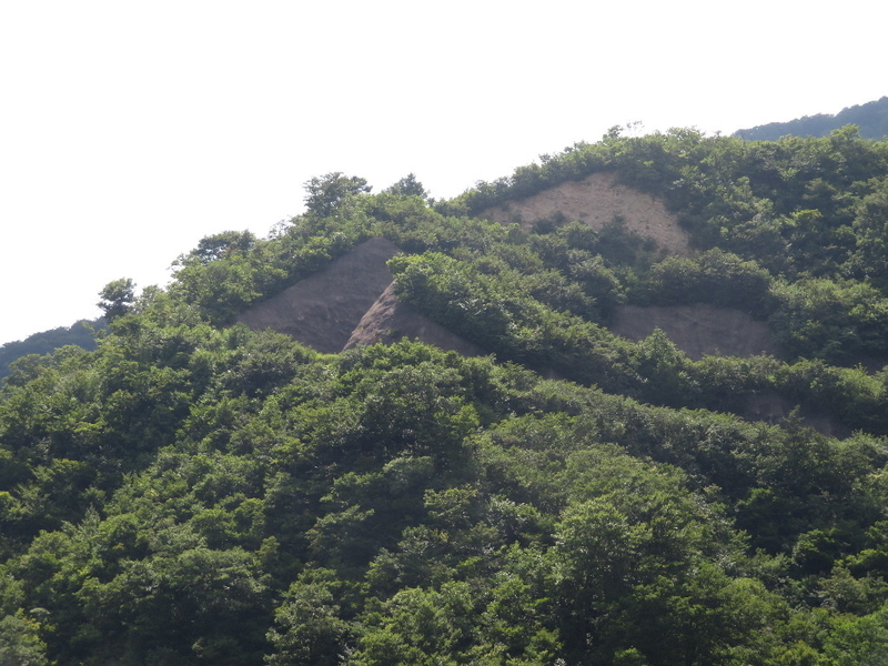 イメージ 33