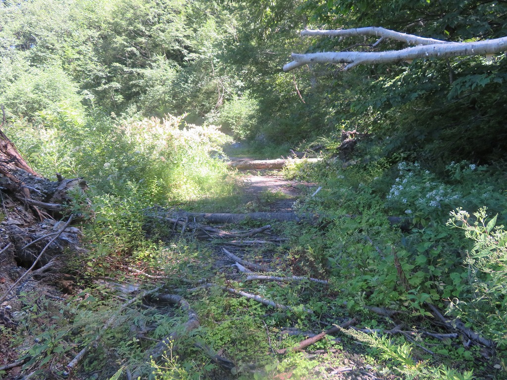 f:id:poseidonttzr:20190920174233j:plain