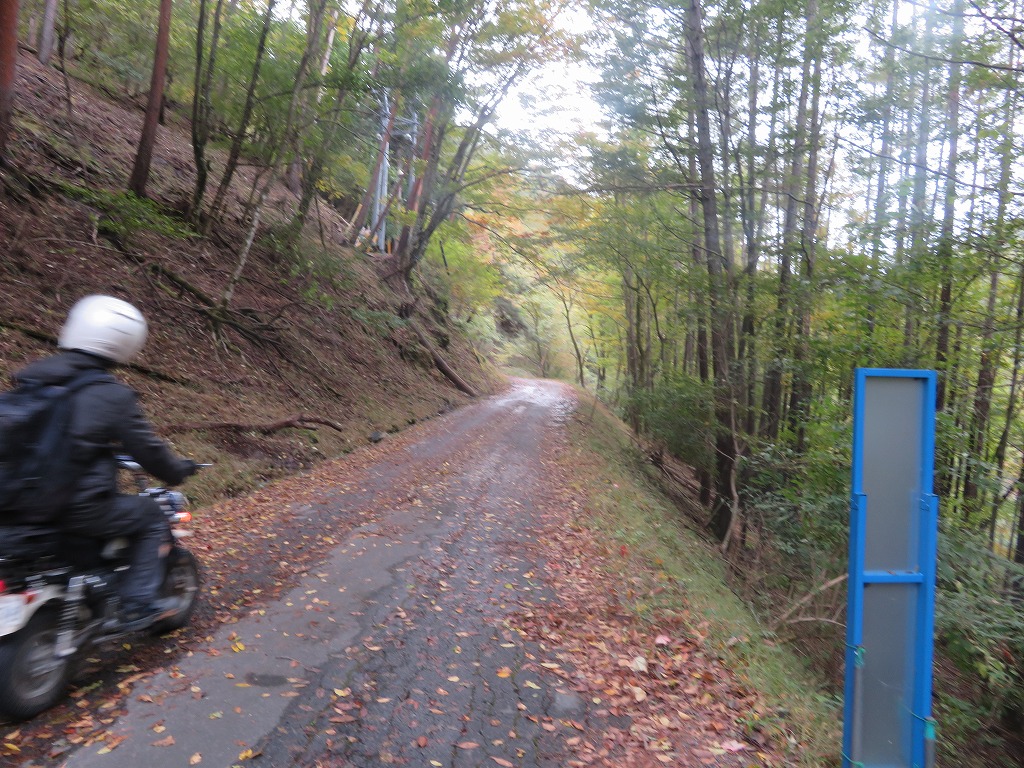 f:id:poseidonttzr:20191117111153j:plain f:id:poseidonttzr:20191117111153j:plain