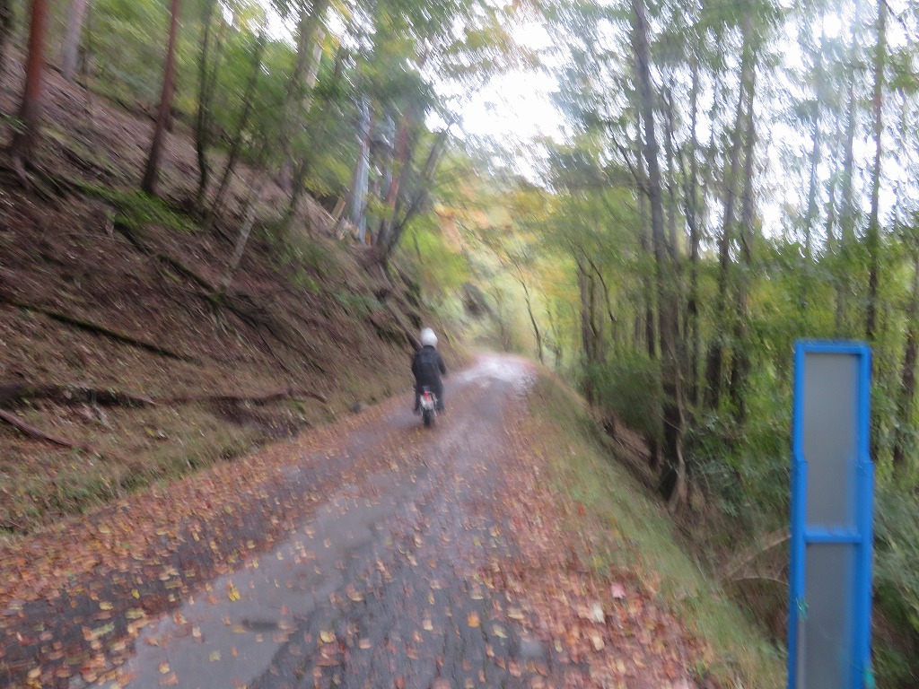 f:id:poseidonttzr:20191117111231j:plain f:id:poseidonttzr:20191117111231j:plain