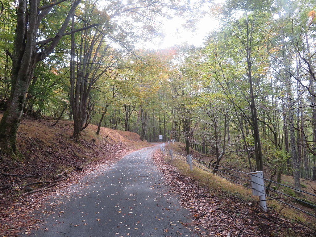 f:id:poseidonttzr:20191117111525j:plain f:id:poseidonttzr:20191117111525j:plain