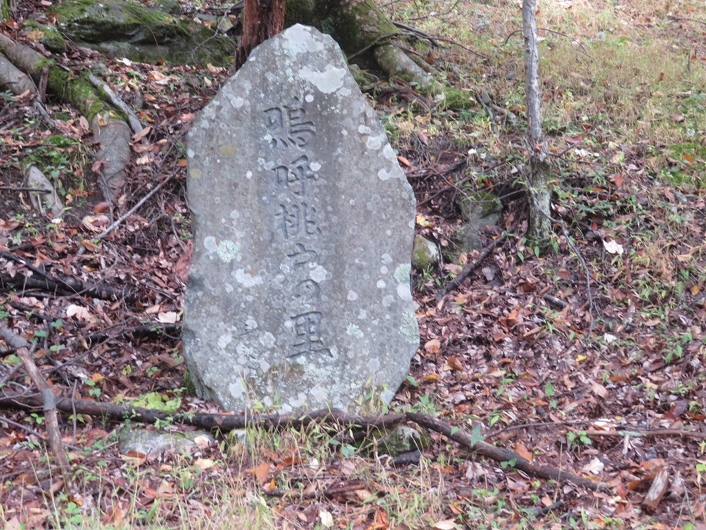 f:id:poseidonttzr:20191117111559j:plain f:id:poseidonttzr:20191117111559j:plain