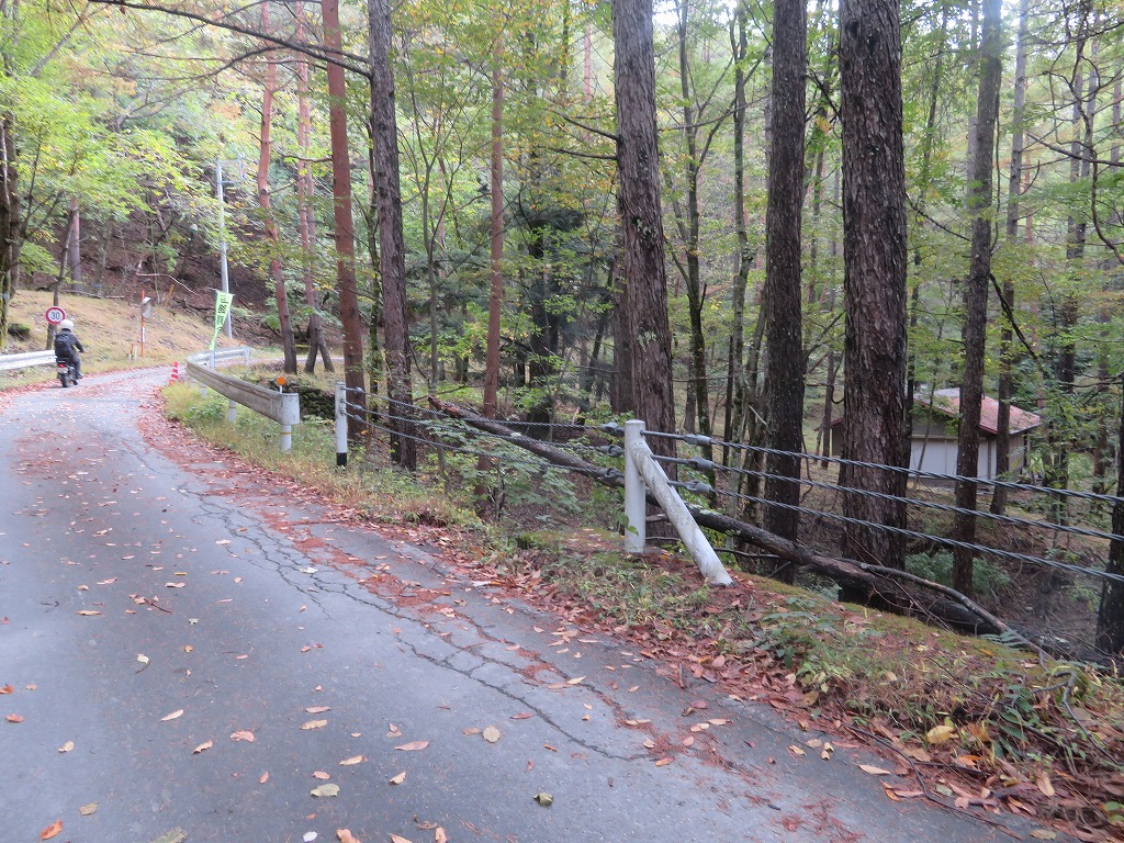 f:id:poseidonttzr:20191117111708j:plain f:id:poseidonttzr:20191117111708j:plain