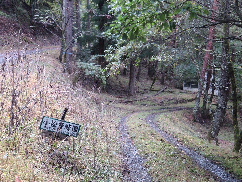 f:id:poseidonttzr:20191117111817j:plain f:id:poseidonttzr:20191117111817j:plain