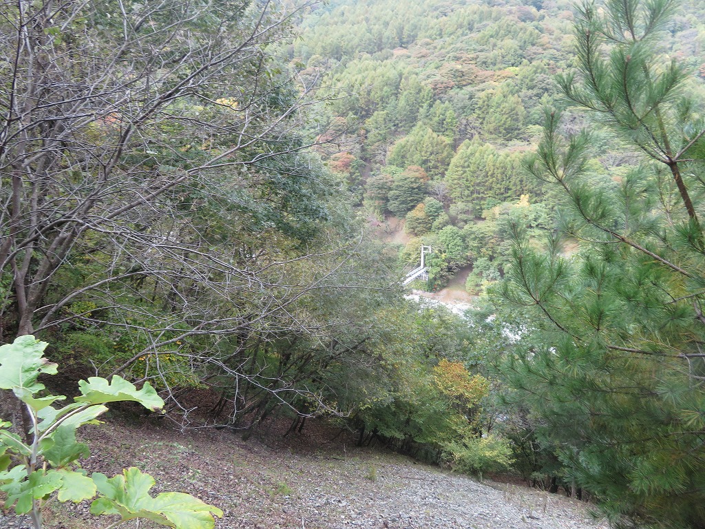 f:id:poseidonttzr:20191117112137j:plain f:id:poseidonttzr:20191117112137j:plain