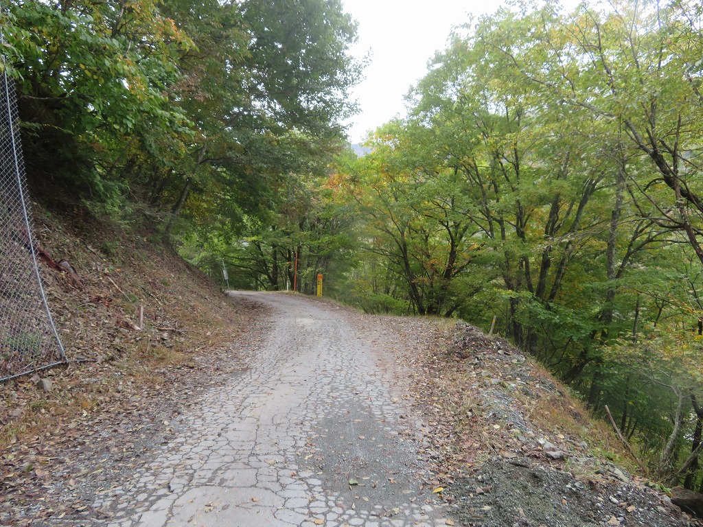 f:id:poseidonttzr:20191117114638j:plain f:id:poseidonttzr:20191117114638j:plain