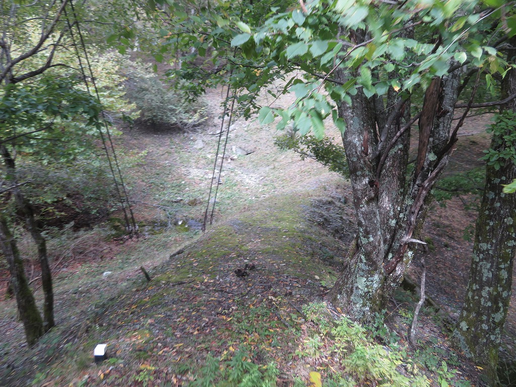 f:id:poseidonttzr:20191117120133j:plain f:id:poseidonttzr:20191117120133j:plain