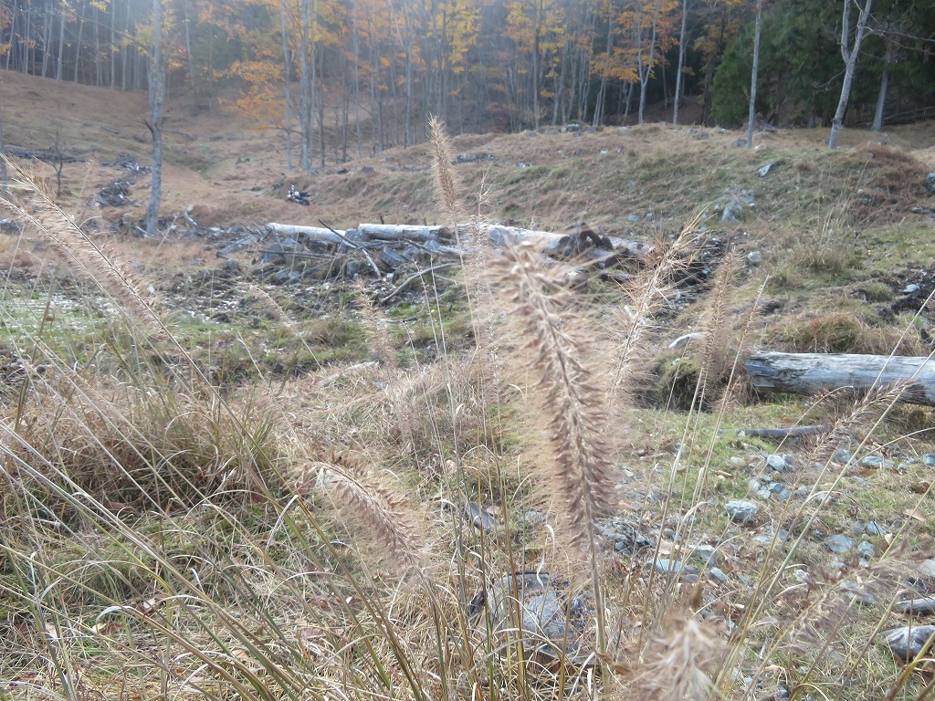 f:id:poseidonttzr:20191117121220j:plain f:id:poseidonttzr:20191117121220j:plain