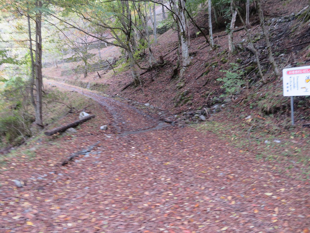 f:id:poseidonttzr:20191117165926j:plain f:id:poseidonttzr:20191117165926j:plain