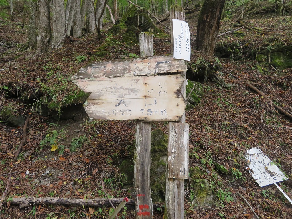 f:id:poseidonttzr:20191117170055j:plain f:id:poseidonttzr:20191117170055j:plain