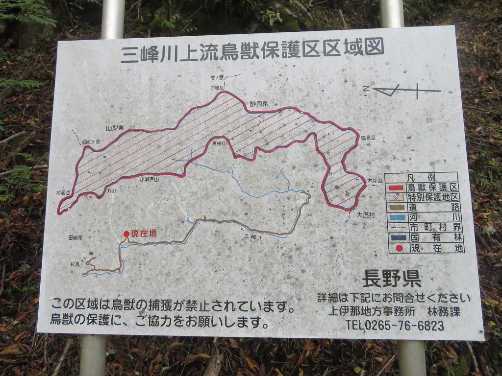 f:id:poseidonttzr:20191117170143j:plain f:id:poseidonttzr:20191117170143j:plain