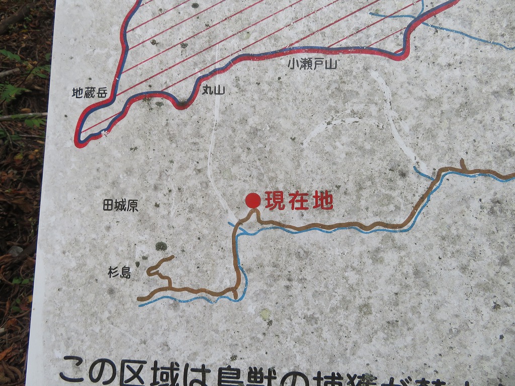 f:id:poseidonttzr:20191117170219j:plain f:id:poseidonttzr:20191117170219j:plain