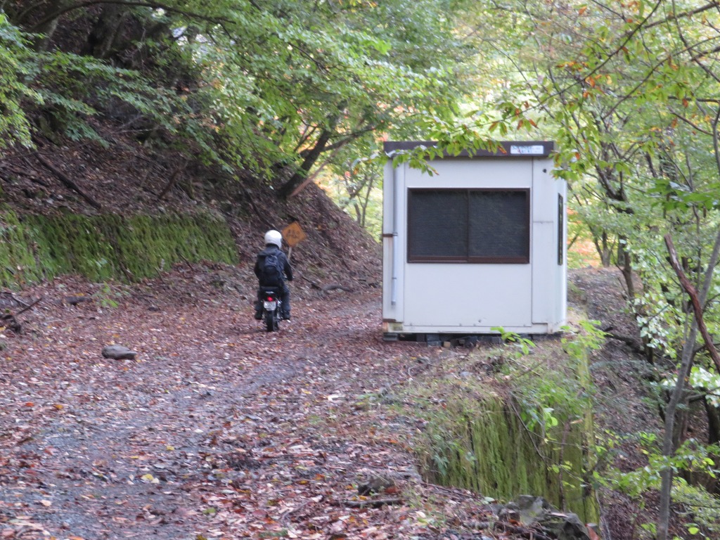 f:id:poseidonttzr:20191117170737j:plain f:id:poseidonttzr:20191117170737j:plain