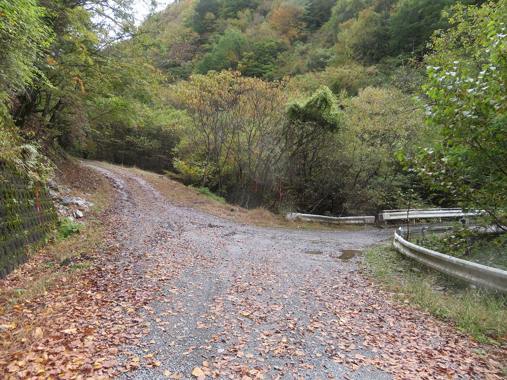 f:id:poseidonttzr:20191117171029j:plain f:id:poseidonttzr:20191117171029j:plain