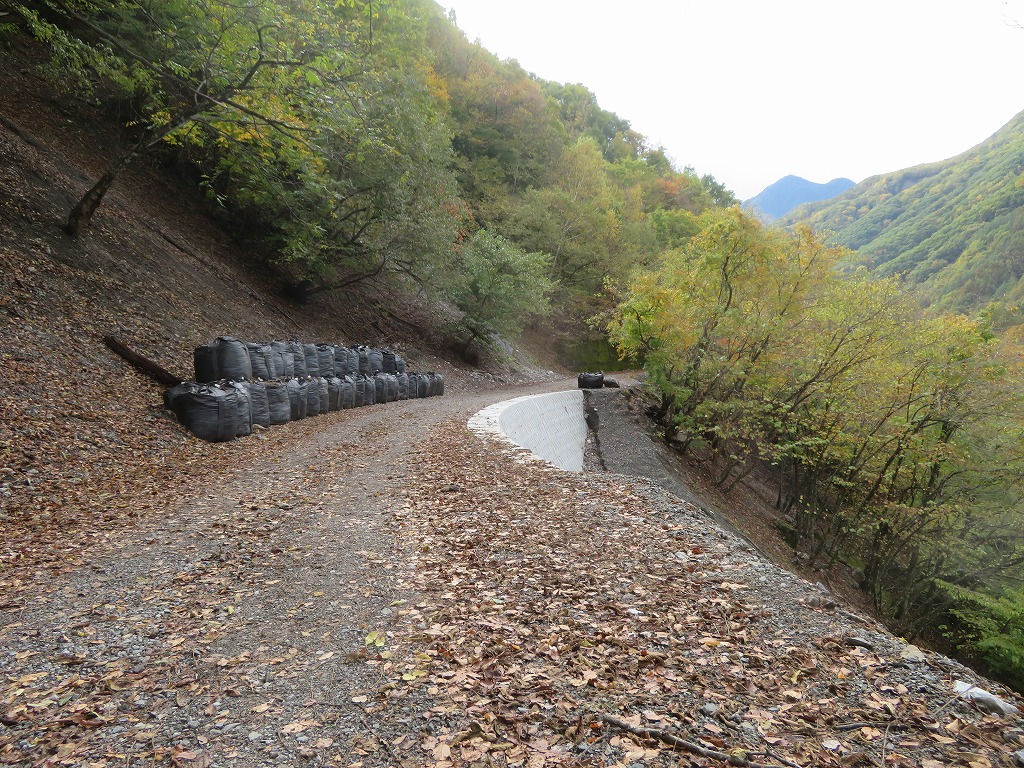 f:id:poseidonttzr:20191117171902j:plain f:id:poseidonttzr:20191117171902j:plain