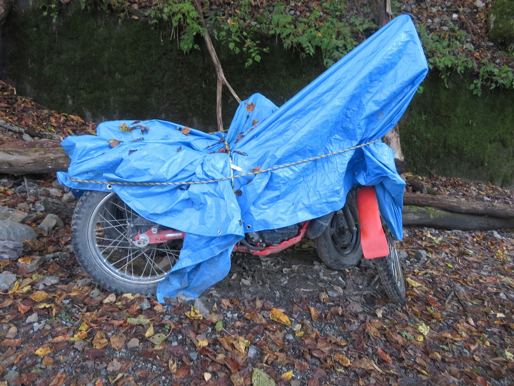 f:id:poseidonttzr:20191117184631j:plain f:id:poseidonttzr:20191117184631j:plain