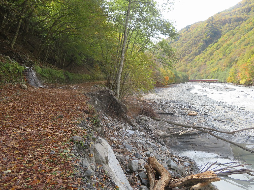 f:id:poseidonttzr:20191118162805j:plain