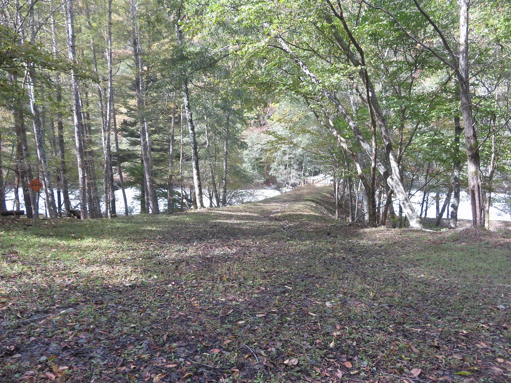 f:id:poseidonttzr:20191118163130j:plain