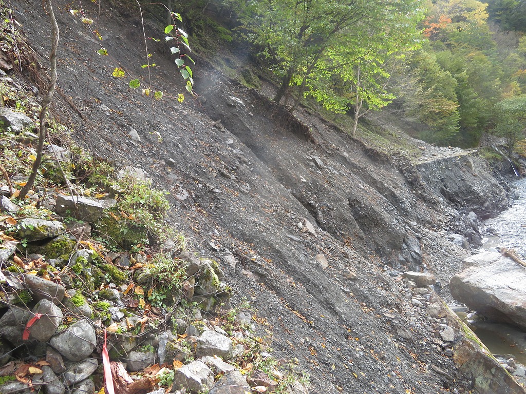 f:id:poseidonttzr:20191118165250j:plain