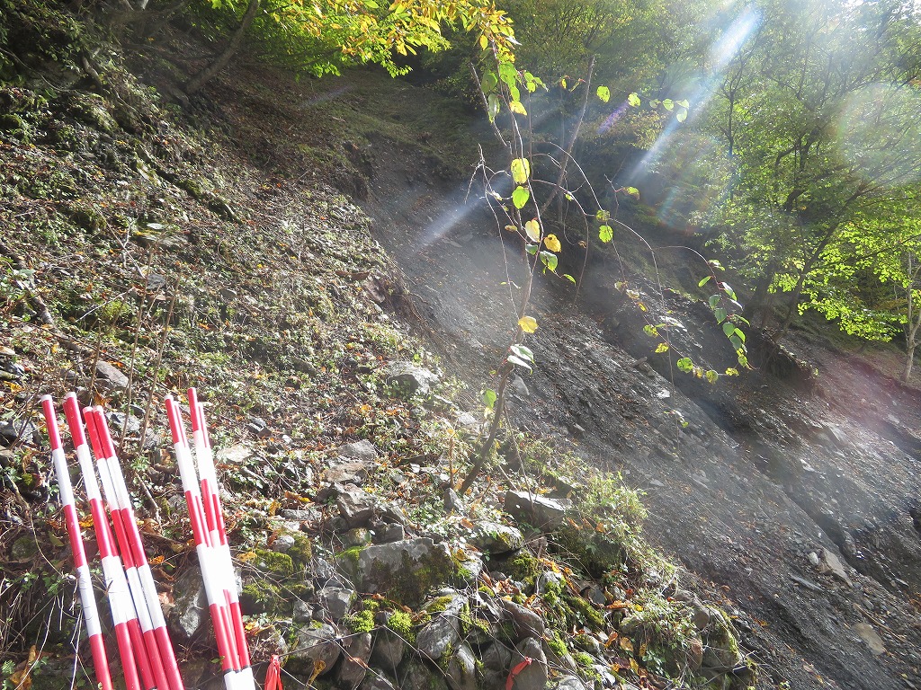 f:id:poseidonttzr:20191118170259j:plain