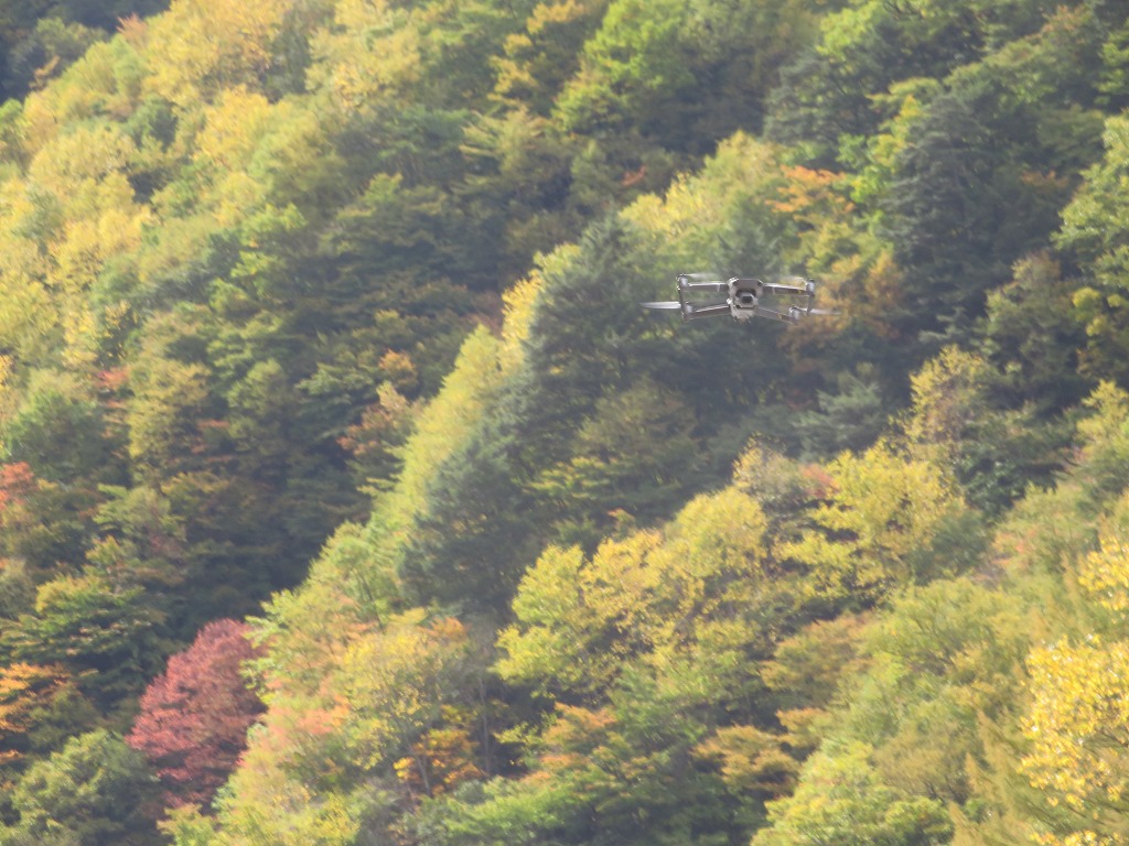 f:id:poseidonttzr:20191118170648j:plain