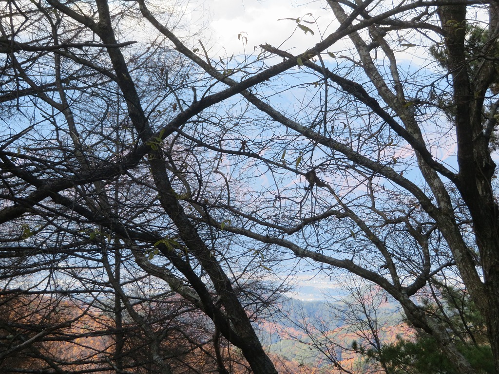 f:id:poseidonttzr:20191121111149j:plain