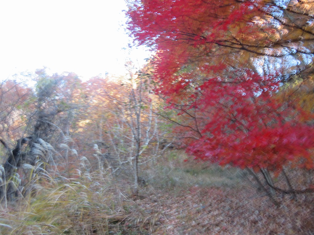 f:id:poseidonttzr:20191125164153j:plain f:id:poseidonttzr:20191125164153j:plain