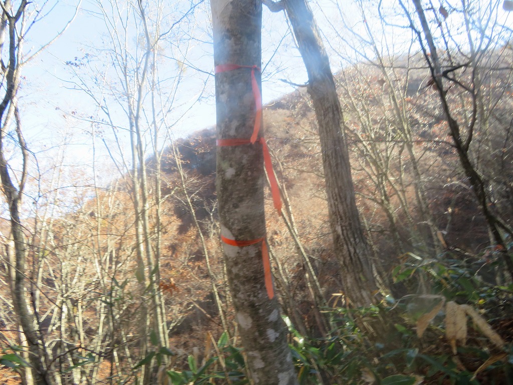 f:id:poseidonttzr:20191126163056j:plain f:id:poseidonttzr:20191126163056j:plain