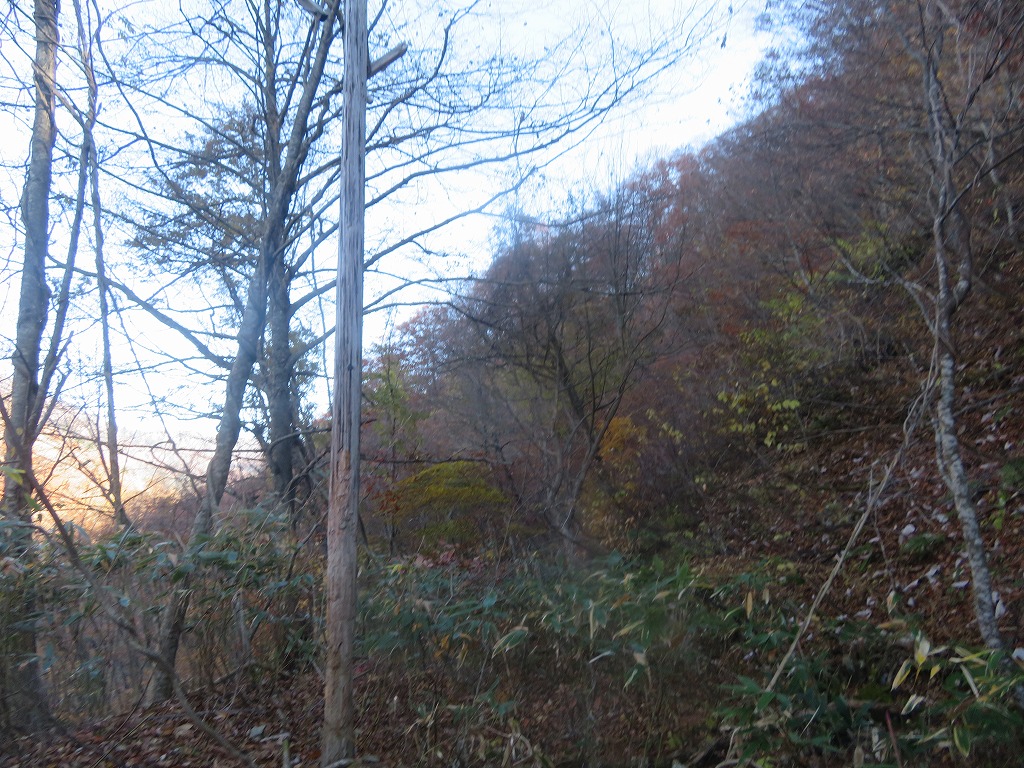 f:id:poseidonttzr:20191202121452j:plain f:id:poseidonttzr:20191202121452j:plain