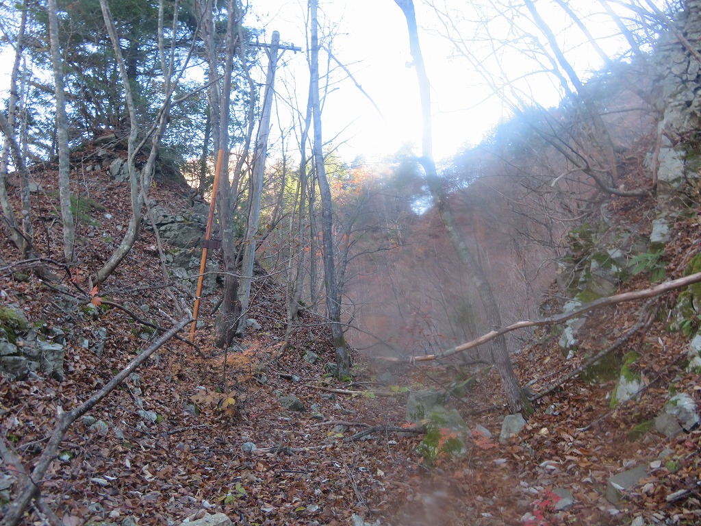 f:id:poseidonttzr:20191202122333j:plain f:id:poseidonttzr:20191202122333j:plain