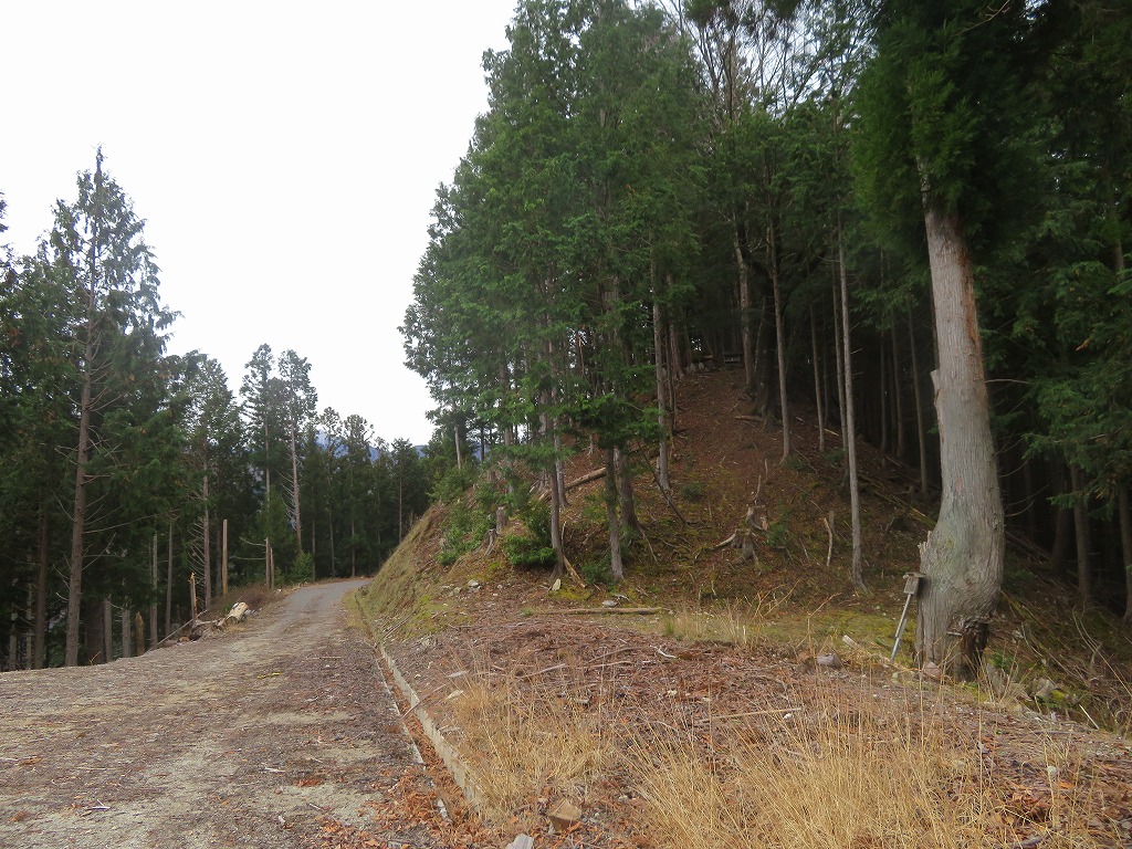 f:id:poseidonttzr:20191213130937j:plain f:id:poseidonttzr:20191213130937j:plain