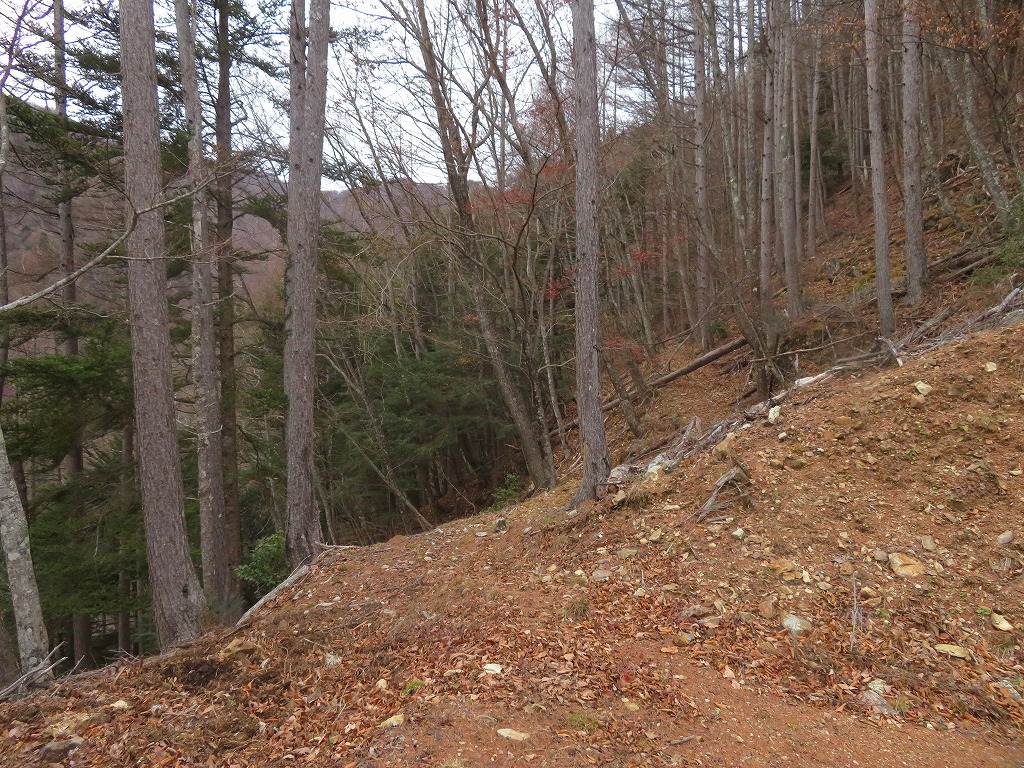 f:id:poseidonttzr:20191213132644j:plain f:id:poseidonttzr:20191213132644j:plain