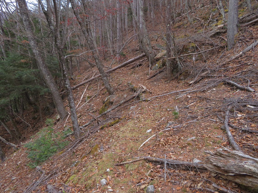 f:id:poseidonttzr:20191213132714j:plain f:id:poseidonttzr:20191213132714j:plain