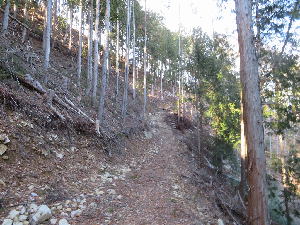 f:id:poseidonttzr:20191217111730j:plain f:id:poseidonttzr:20191217111730j:plain