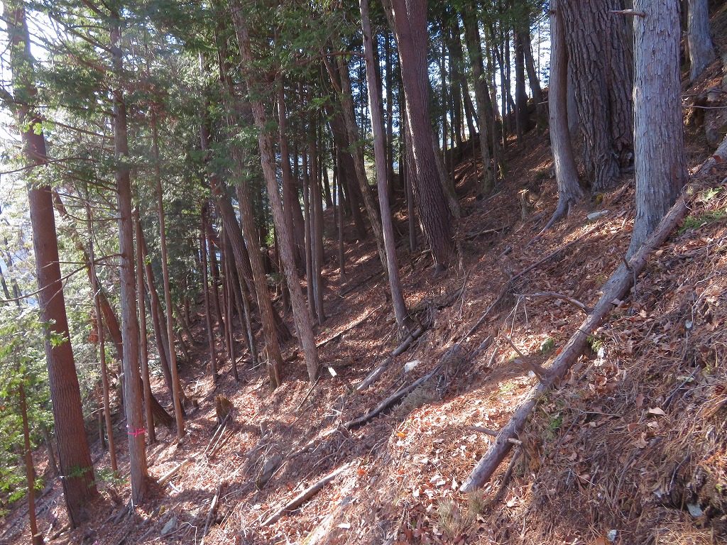 f:id:poseidonttzr:20191217112316j:plain f:id:poseidonttzr:20191217112316j:plain