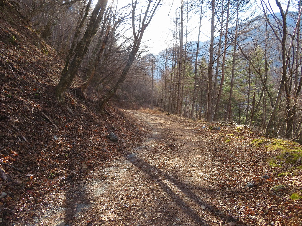 f:id:poseidonttzr:20191221085916j:plain f:id:poseidonttzr:20191221085916j:plain