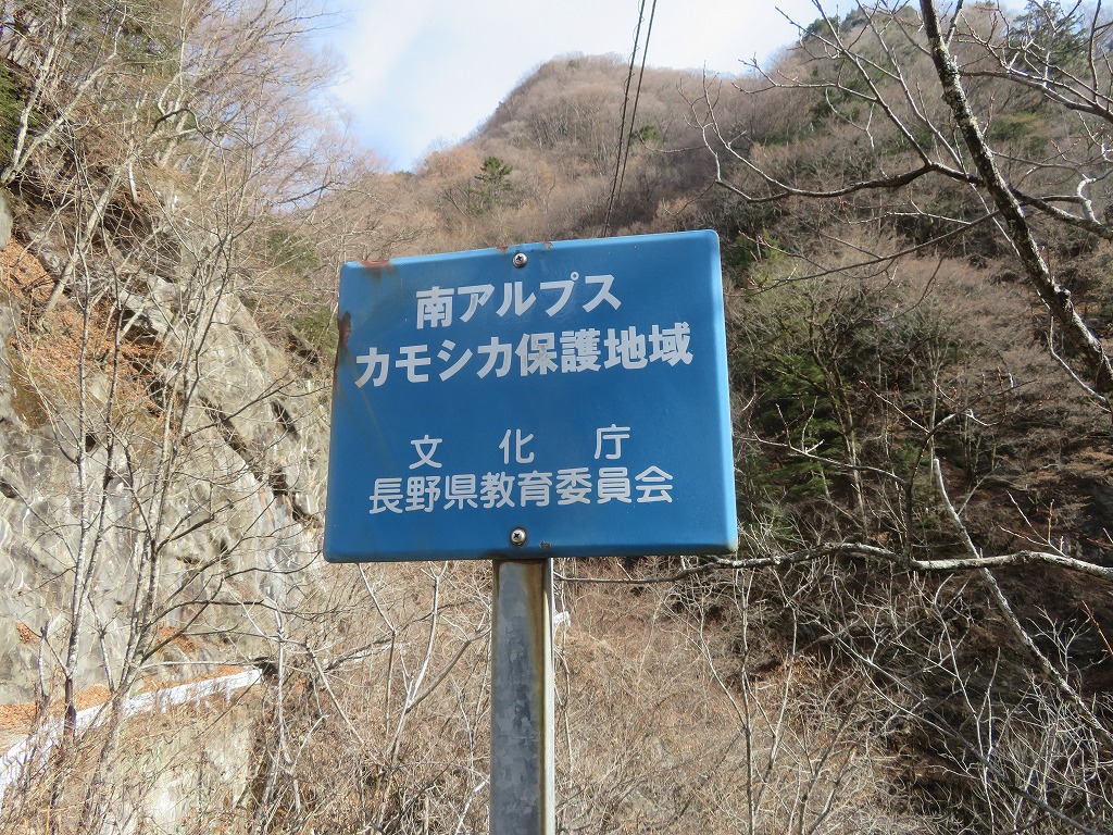 f:id:poseidonttzr:20191221093600j:plain f:id:poseidonttzr:20191221093600j:plain