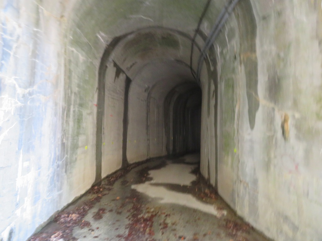 f:id:poseidonttzr:20191222172329j:plain