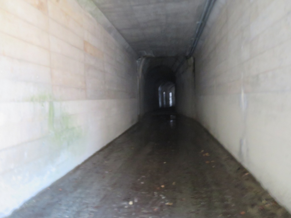 f:id:poseidonttzr:20191222172920j:plain