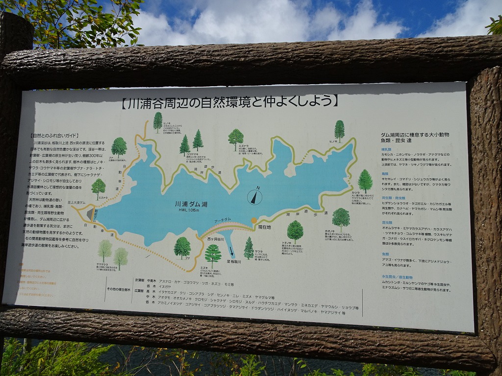f:id:poseidonttzr:20200103121036j:plain f:id:poseidonttzr:20200103121036j:plain