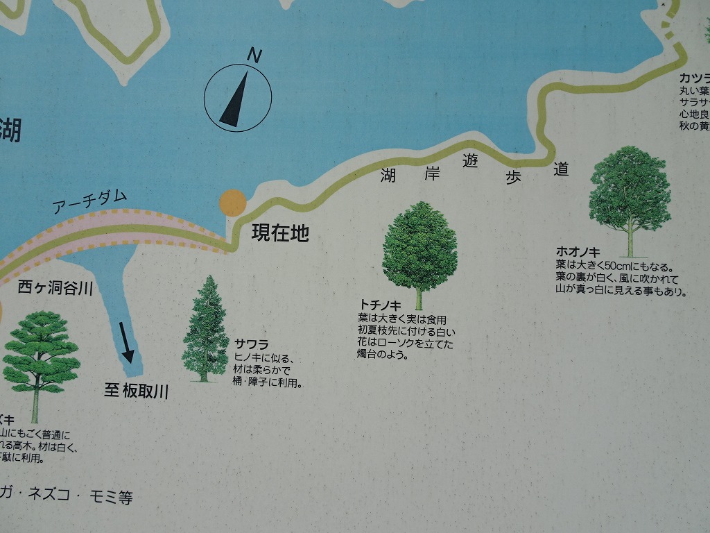 f:id:poseidonttzr:20200103121423j:plain f:id:poseidonttzr:20200103121423j:plain