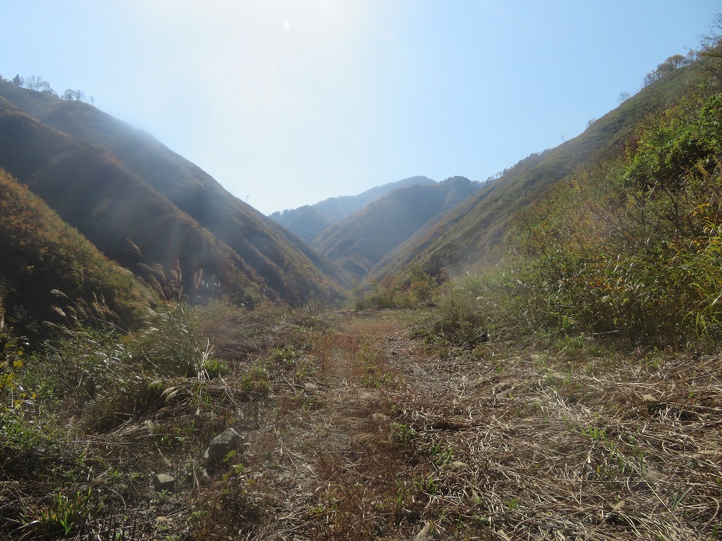 f:id:poseidonttzr:20200202183740j:plain f:id:poseidonttzr:20200202183740j:plain