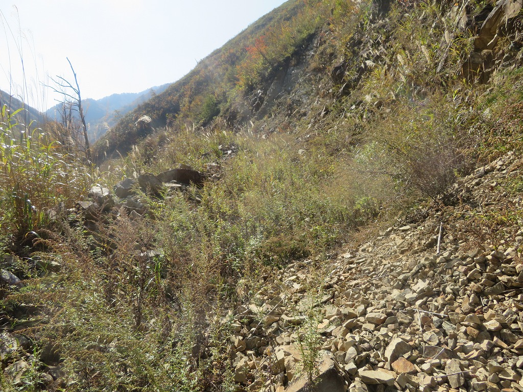 f:id:poseidonttzr:20200202184232j:plain f:id:poseidonttzr:20200202184232j:plain