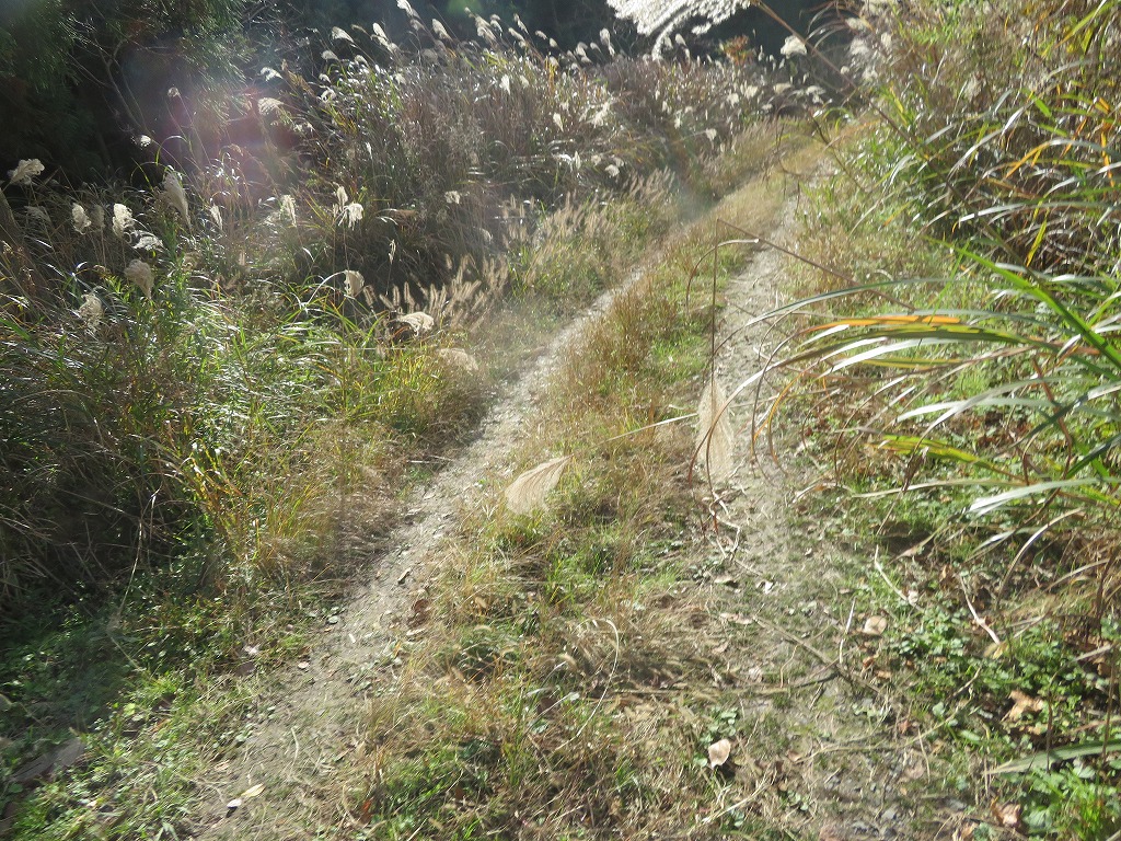 f:id:poseidonttzr:20200210095450j:plain f:id:poseidonttzr:20200210095450j:plain