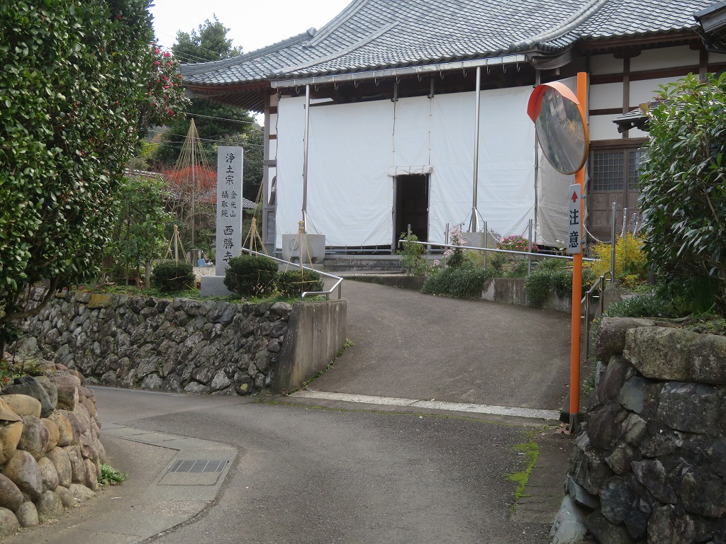 f:id:poseidonttzr:20200212131346j:plain f:id:poseidonttzr:20200212131346j:plain